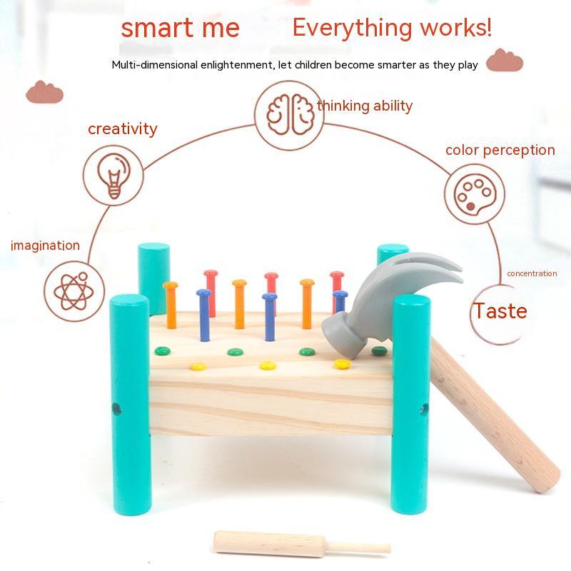 Montessori Hand-Eye Puzzle