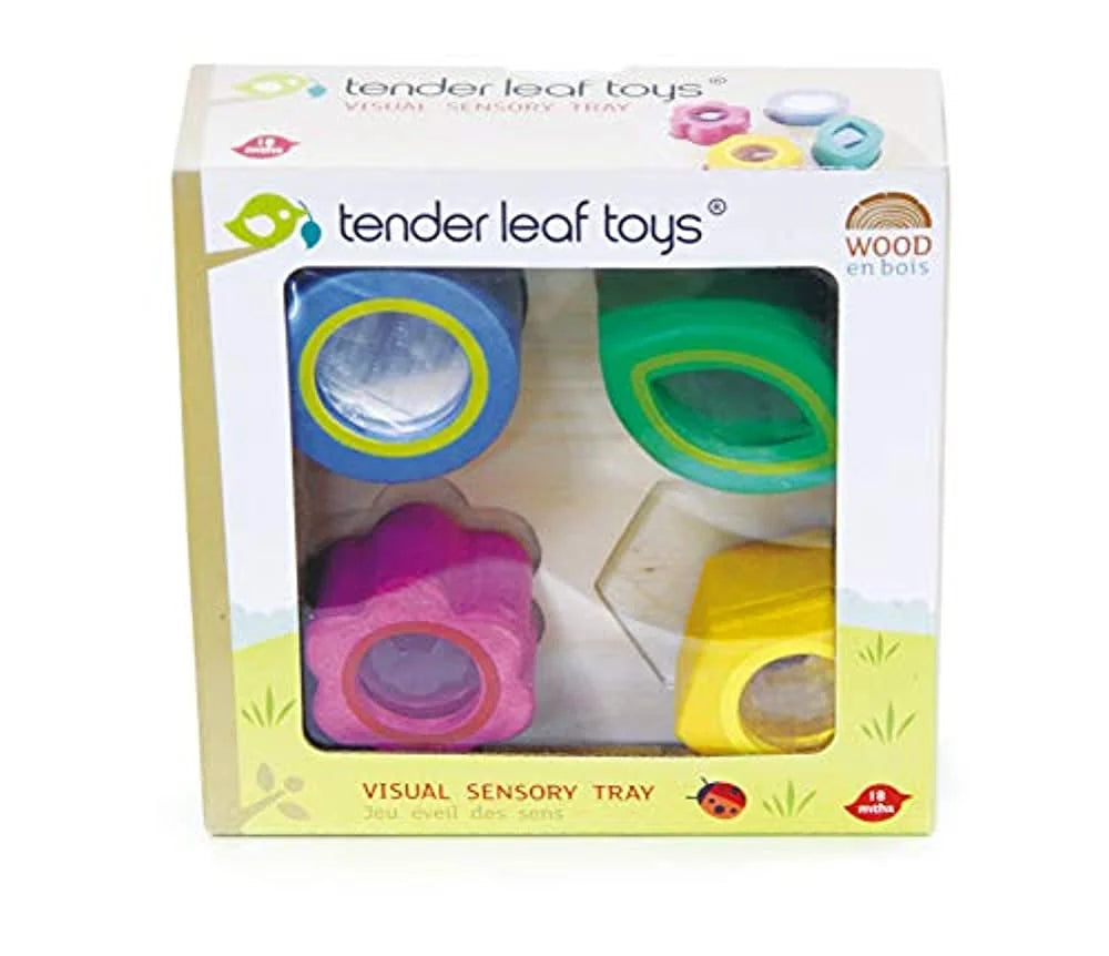 - Sensory Trays - Baby Blocks, Shape Sorter, STEM Learning Shape Identification Sorting Game Toy for Kids 18 Month + (Visual Sensory Trays)